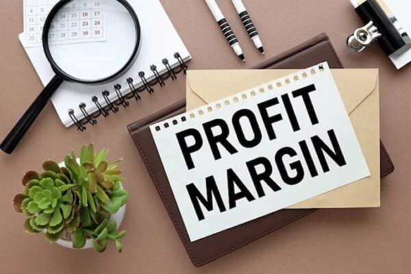 Interpreting Profit Margin: Decoding the Results