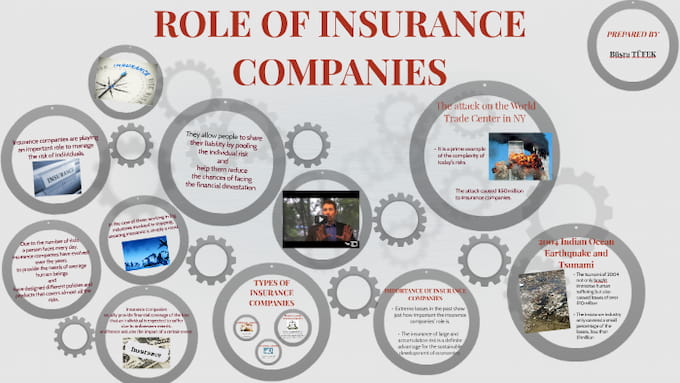 The Role of Insurance Companies